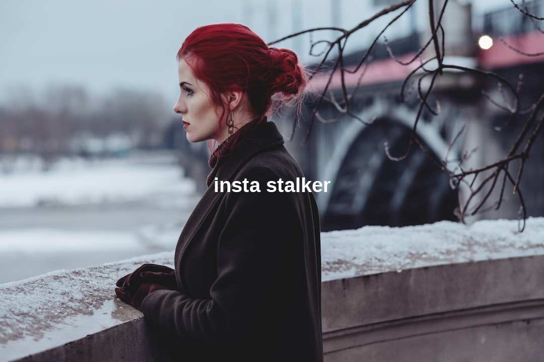 insta stalker