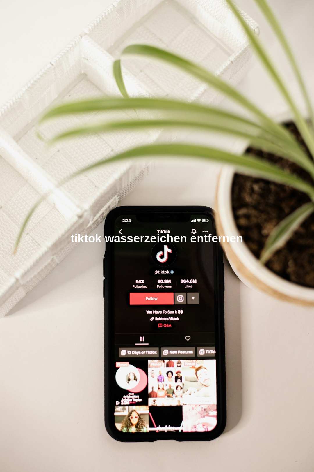 tiktok wasserzeichen entfernen